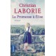 La promesse à Elise - Christian Laborie