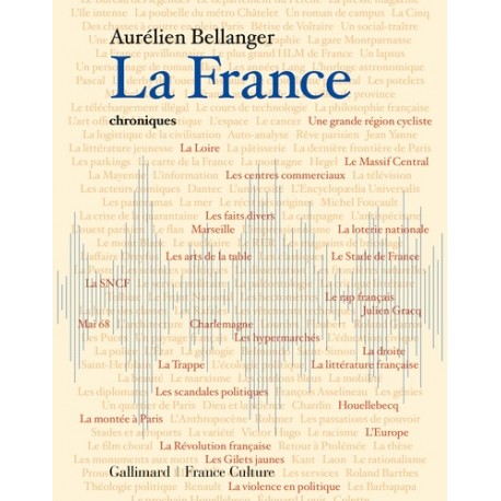 La France, chroniques - Aurélien Bellanger
