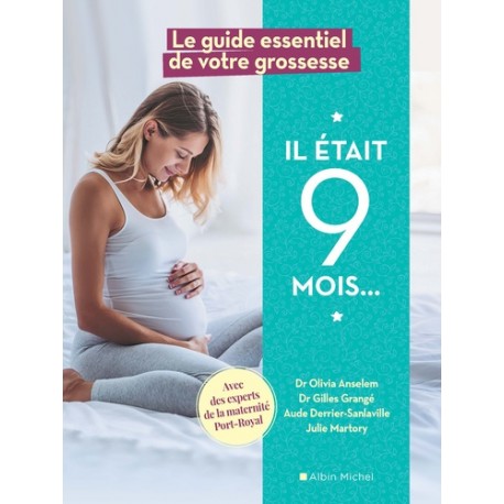 Il était 9 mois - Le guide essentiel de votre grossesse avec les experts de la maternité de Port-Royal - Olivia Ansellem