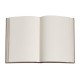 Carnet Paperblanks FEUILLE D’OR - Uni Fermoir magnétique Format 21 x 30 cm